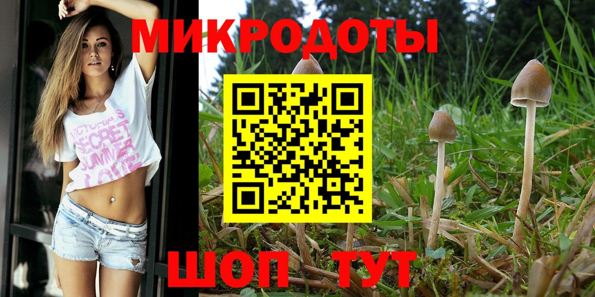 Истра  Галлюциногенные грибы ЛСД  Вход с VPN 