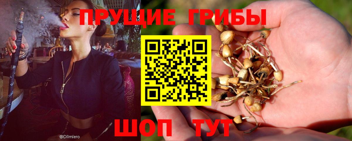 Галлюциногенные грибы прущие грибы Истра